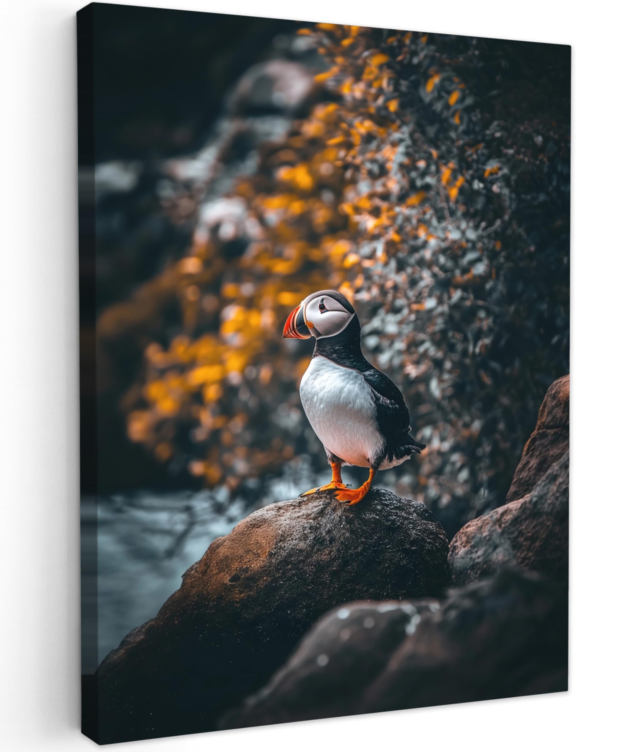 MuchoWow© Canvas Wall Art Work 24"x31" / 60x80 cm House Decoration for Living Room Home Decor Pictures Walls Parrot - Rock - White - Bird