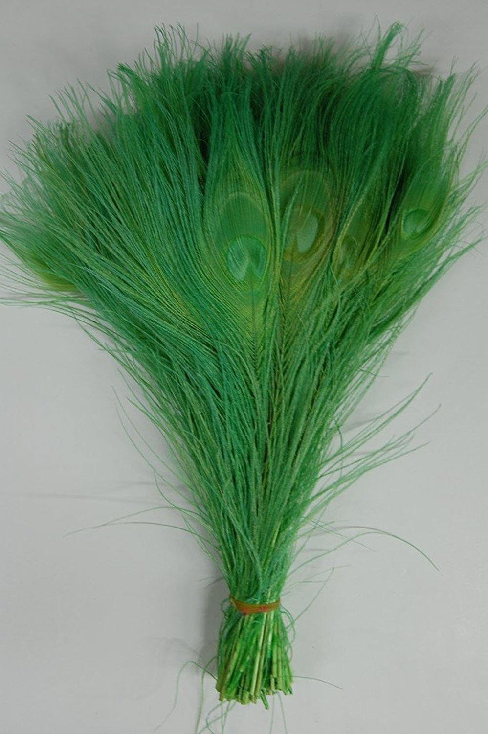 CENFRY Natural Peacock Feathers with Eye Craft Decoration 10-12inch Pack of 10 (Green)