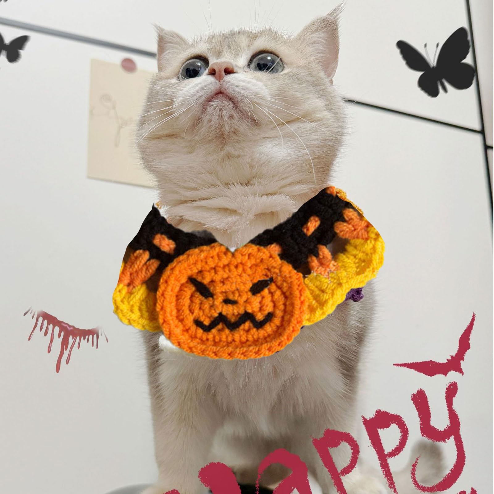 QIYADIN Pet Halloween Pumpkin Cloak & Hat Costume - Cosplay Outfit For Cats & Small Dogs
