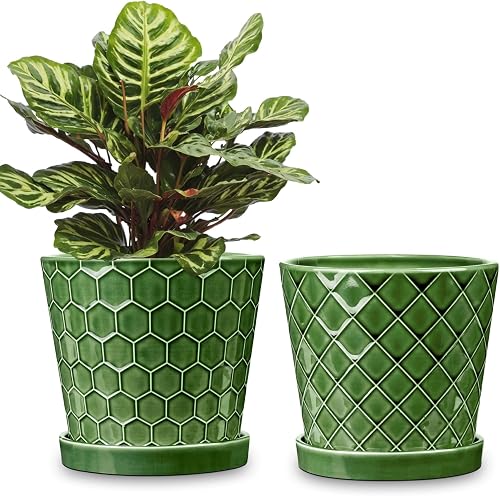 BUYMAX 6 Inch Plant Pot Ceramic Flower Pots Set of 2 with Drainage Hole | Includes Ceramic Trays | Clean Patina Finish | Ideal for Desktop and Windowsill Spaces | Great Gift Choice for Plant Lovers