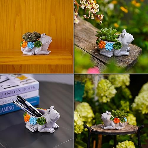 Miniatura 6 de Macetas de rana de jardín, bonitas macetas pequeñas para suculentas, bonitas macetas de flores, grandes regalos para mujeres, mamá, cumpleaños,
