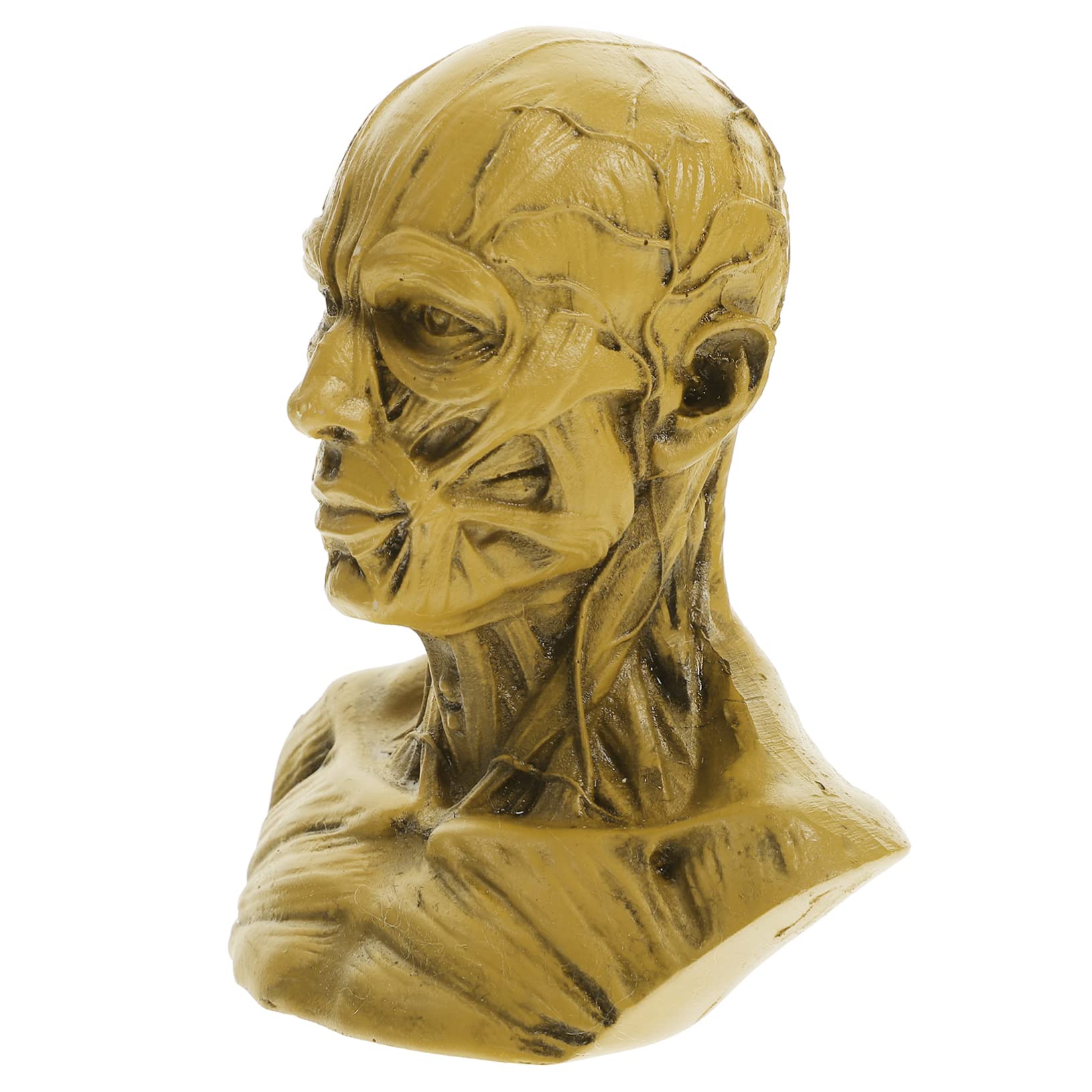 PRETYZOOM 4 Piezas Estatua De Boceto Cabeza De Cráneo Estatua Muscular Cabeza De Cráneo Pequeña Modelo De Cabeza De Cráneo Estatuilla De Boceto Artesanal De Cabeza De Cráneo Modelo De