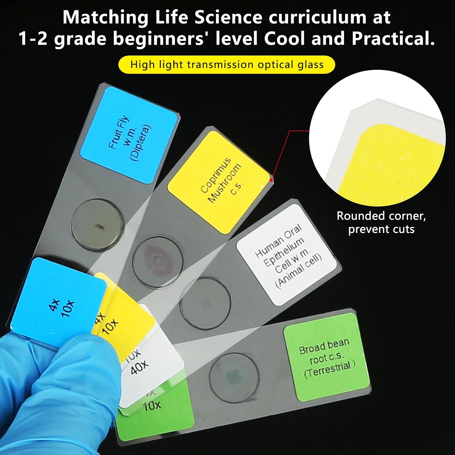 Microscope Slides with Specimens for Kids, 30 Lab-Grade Prepared Microscope Slides, Animal Plant Microbe Cells, STEM Biology Kit for Kids Ages 6-8 Homeschool, Classroom Labs & Science Education image 2