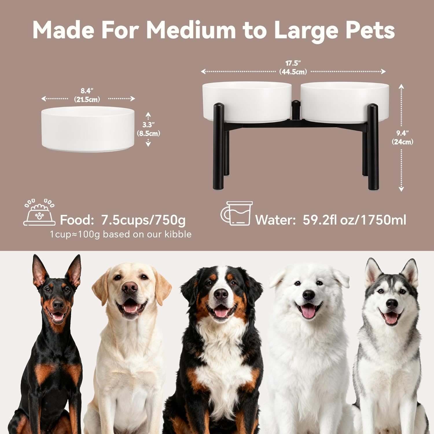 Dog Bowls Elevated - Ceramic Raised Dog Bowl with Non Slip Steel Stainless Stand - No Spill and Heated Feeding Station - Food and Water Dish Set for Medium to Large Pet - Each Holds 7.5 Cups – White