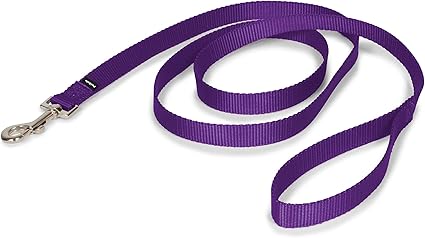 purple leash