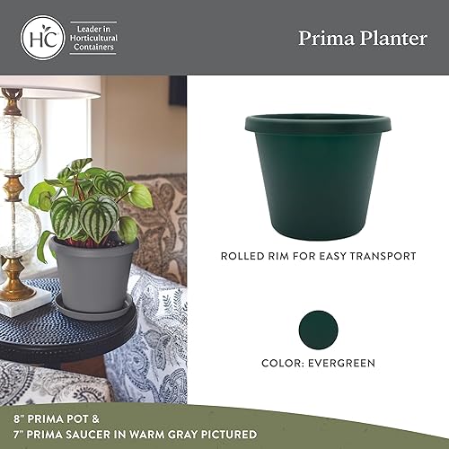 Miniatura 2 de The HC Companies Maceta redonda Prima de 6 pulgadas, maceta pequeña de plástico con borde enrollado para plantas de interior y exterior, flores,