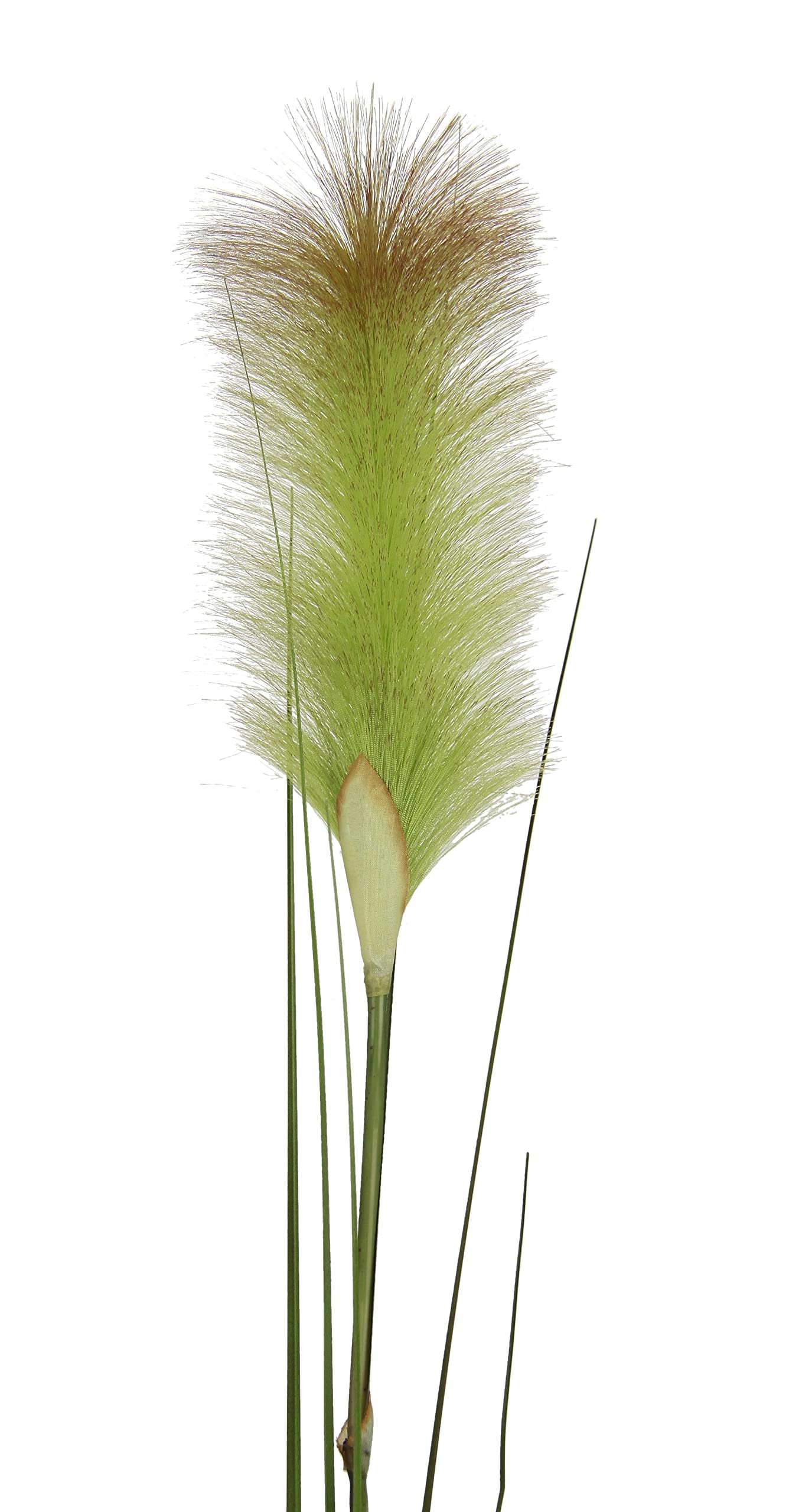 Pampasgras Zweige Kunstpflanzen 125 Cm – 2er Set, Edles Dekogras Für Vase & Raumdeko