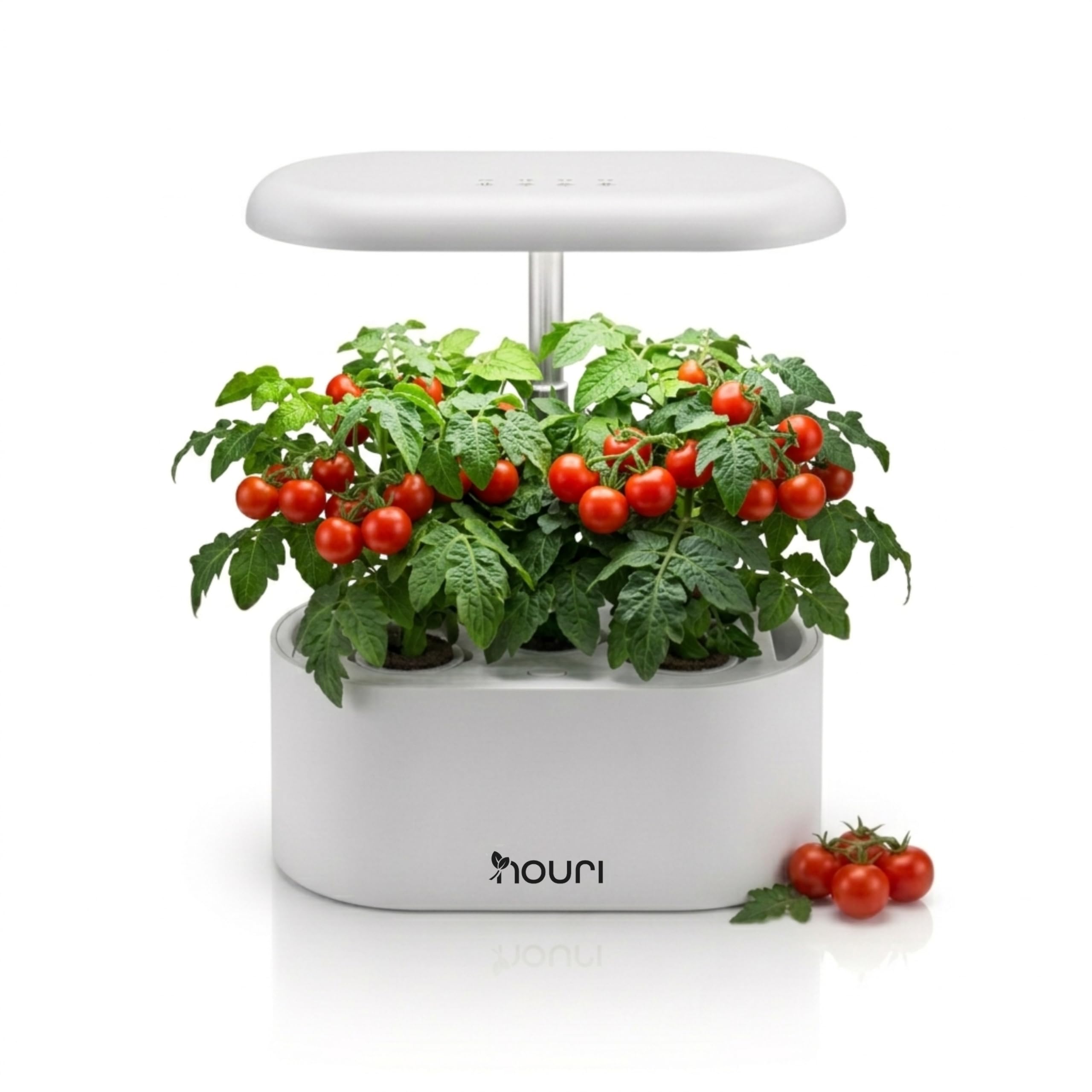 Nouri Hydroponics Growing System, 5 pod Smart Indoor Herb Garden Kit with LED Grow Lights, Hydroponic Herb Garden Indoor for Plant Lovers, Gardeners, Kitchen, Tomato Seeds Included