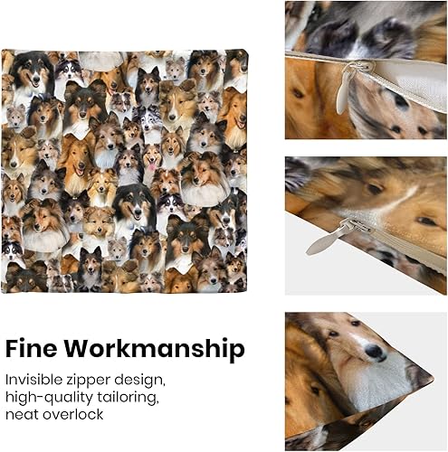 Miniatura 6 de 2 fundas de cojín con diseño de perro Sheltie, con temática de raza de perro, para sofá, cama, decoración del hogar, regalos conmemorativos de