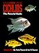 Cichlids: The Pictorial Guide, Volume 2 (English, German, Japanese and Chinese Edition)