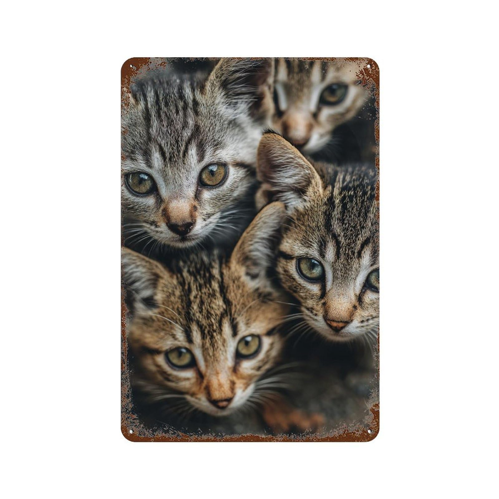 Adorable Tabby Kittens -1 Aged Metal Wall Plaque 11.8"x7.9", Classic Wall Plaque for Garage, Pub Or Kitchen