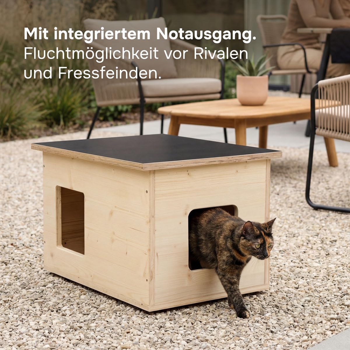 catcabin Katzenhaus für Draußen, Winterfest, Isoliert, Massivholz, Made in Germany, Outdoor Katzenhöhle (ohne Isolierung, Dach Siebdruck, Fichte-Fenster)