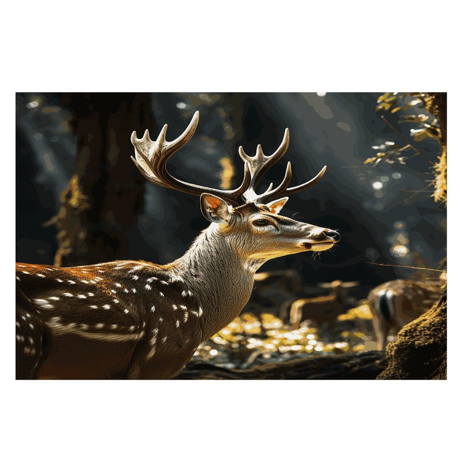 Placemats Placemats Deer in Wild Placement Mats for Dining Table Place Mats Suitable for Personal Dining Tables Dinner Parties BBQ Weddings