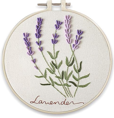 Kit de bordado, ardilla lavanda flores Garden Awesocrafts gama completa de kits de bordado para principiantes, adultos y niños, bricolaje hecho a