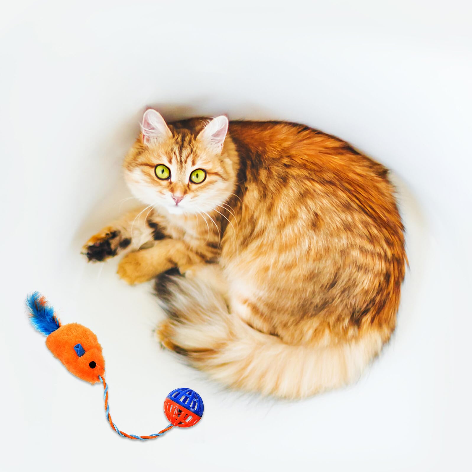Artibetter Chat Souris Peluche avec Cloches Plastique Orange Interactif Compact pour Chat Intérieur Accessoire de Jeu pour Stimuler Instinct de Chasse et Réduire la Solitude
