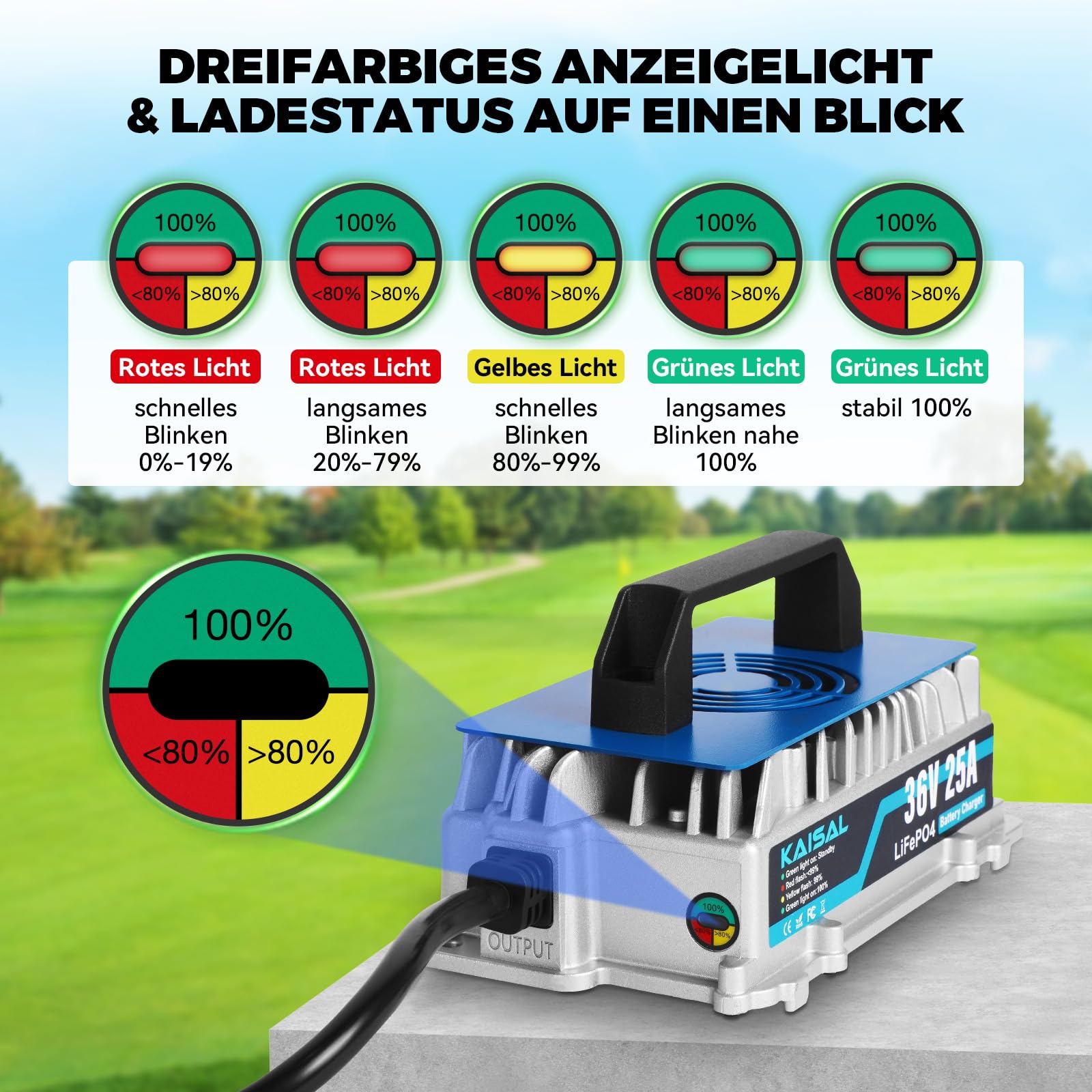 KAISAL LiFePO4 Ladegerät 43.8V 25A für 36V LiFePO4 Lithium Batterien