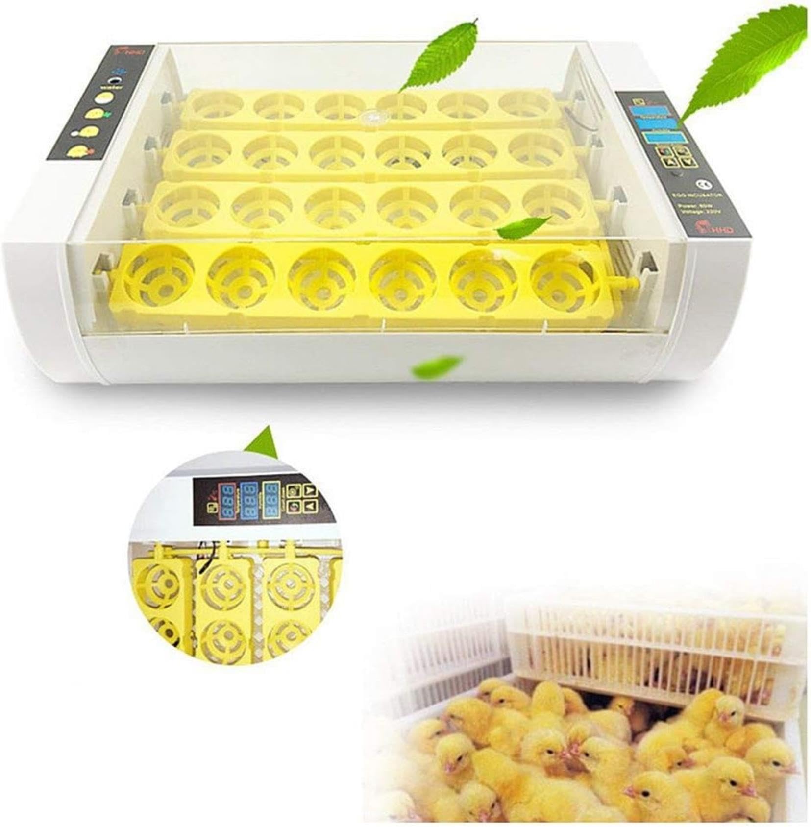 Incubateur automatique XENITE pour éviter les pertes d'oeufs de poule