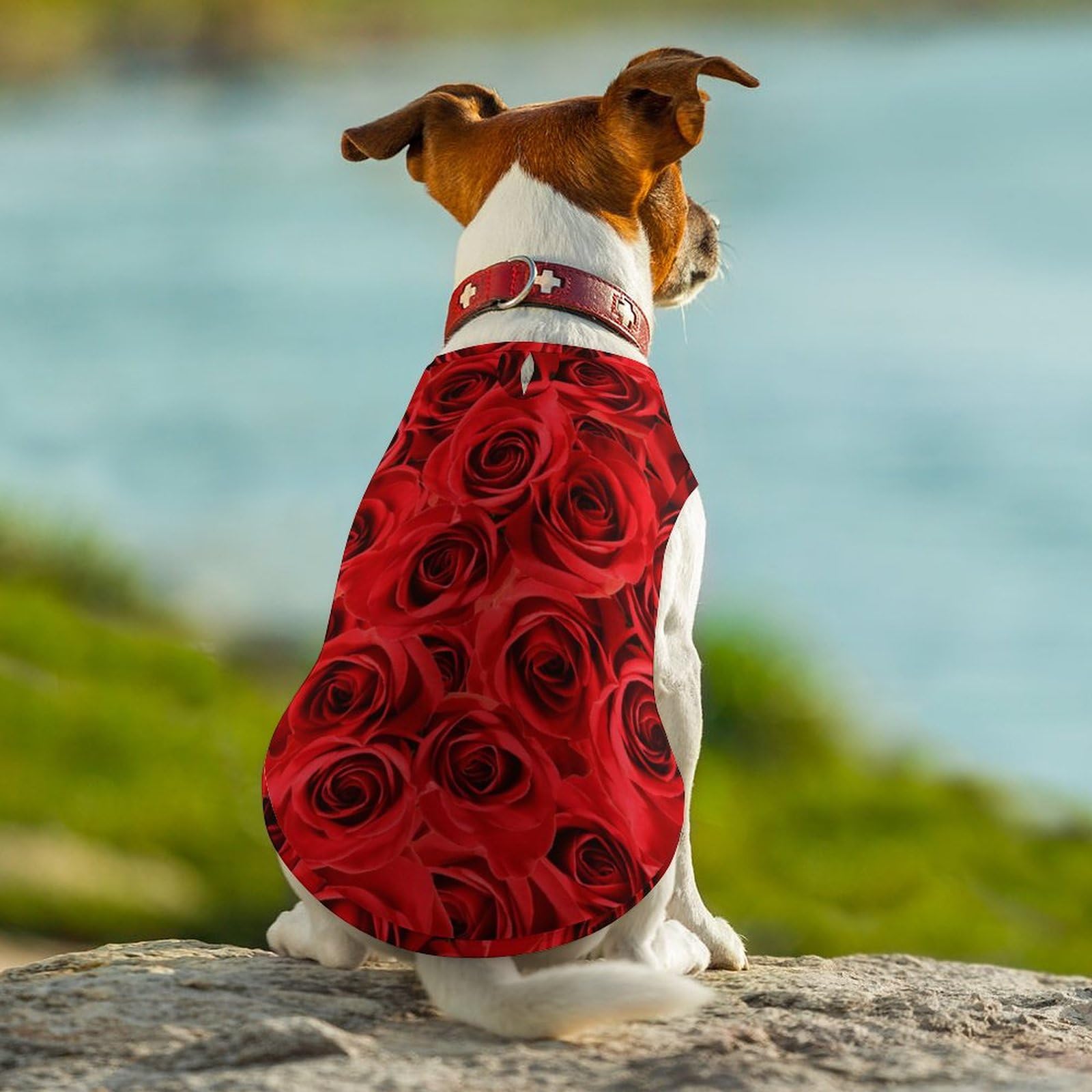 Amazon.co.jp: 赤いバラ 薔薇 花柄 ペット服 犬服 春夏秋 Tシャツ 袖