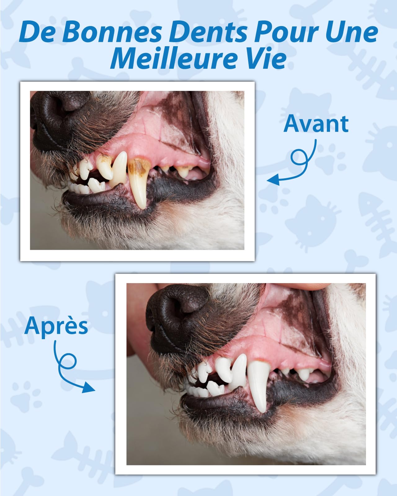 Kit de Nettoyage Tartre Dentaire à Ultrasons pour Chien et Chat, Detartreur Brosses à Ultrasonique Dents Détachant Nettoyeur, 5 Modes de Nettoyage et 4 Têtes de Nettoyage pour Pet Animaux de Compagnie