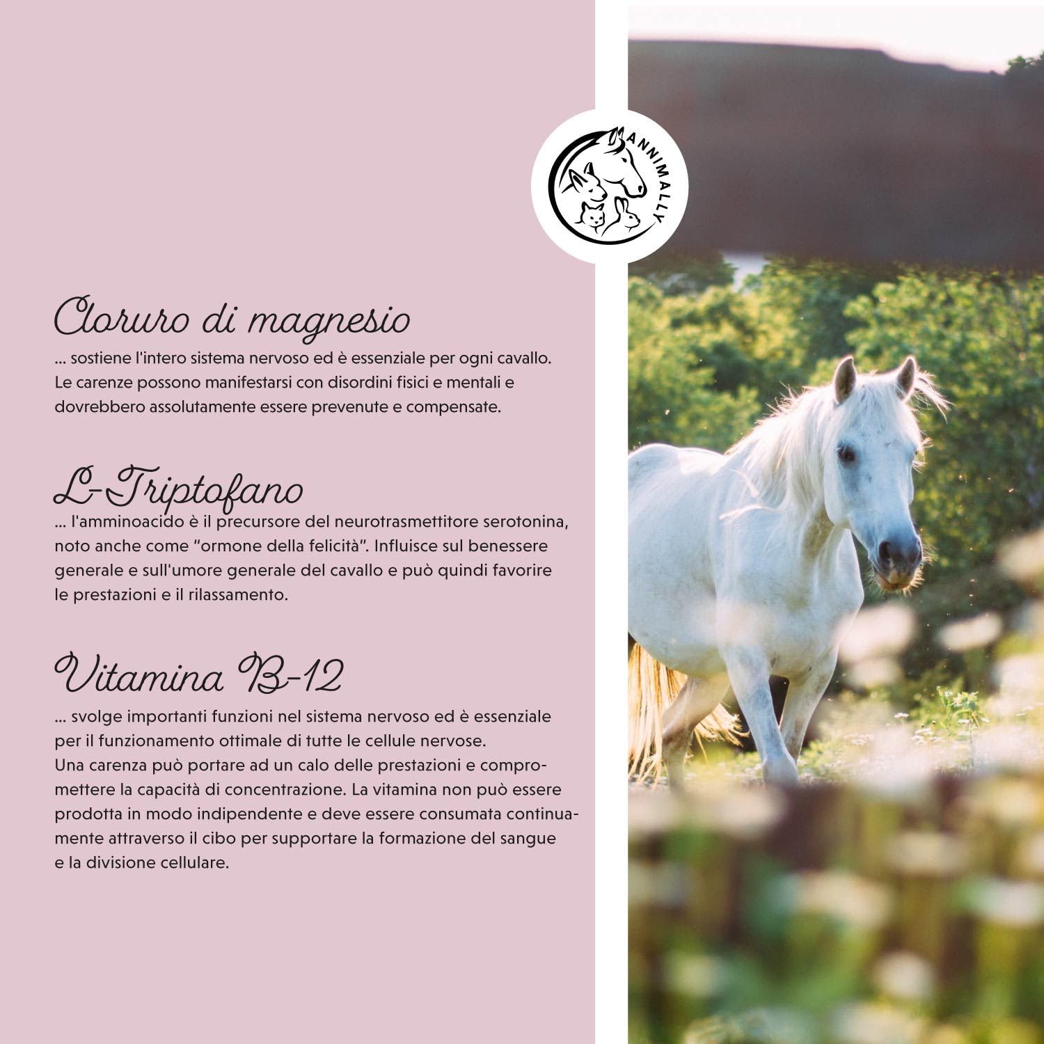 Relax Liquid per cavalli 1000ml, succo calmante per cavalli con valeriana, luppolo, triptofan, B12, magnesio e calcio liquido - Contro l'ansia, lo stress e per il trasporto