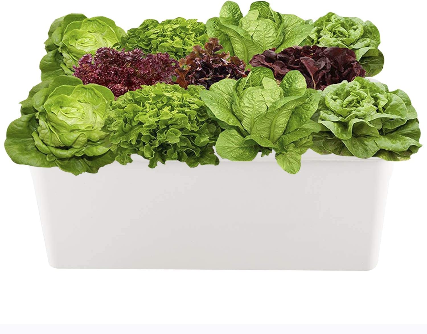 Artilife Hydroponic System Growing Kit,11 Sites Bucket with Air Pump,Bubble Stone and Planting Sponges - Complete Hydroponics Indoor Herb Garden Starter Kit for Kitchen