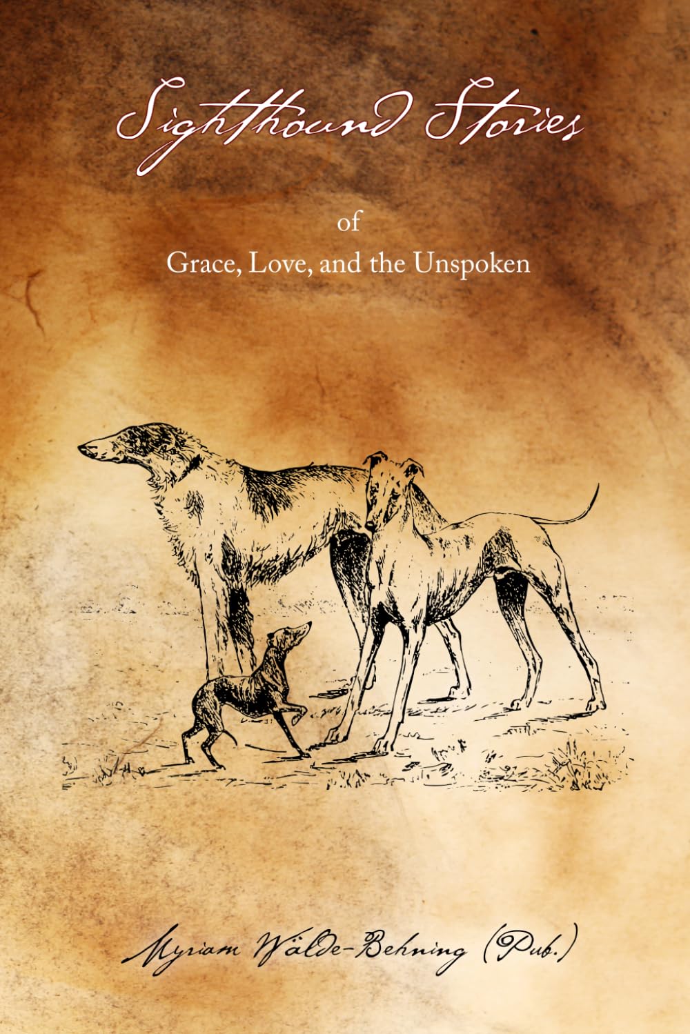 Sighthound Stories: of Grace, Love and the Unspoken