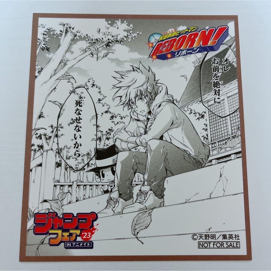 家庭教師ヒットマンREBORN！　紙類　まとめ売り 家庭教師ヒットマンREBORN! 紙類 グッズ まとめ売り その他