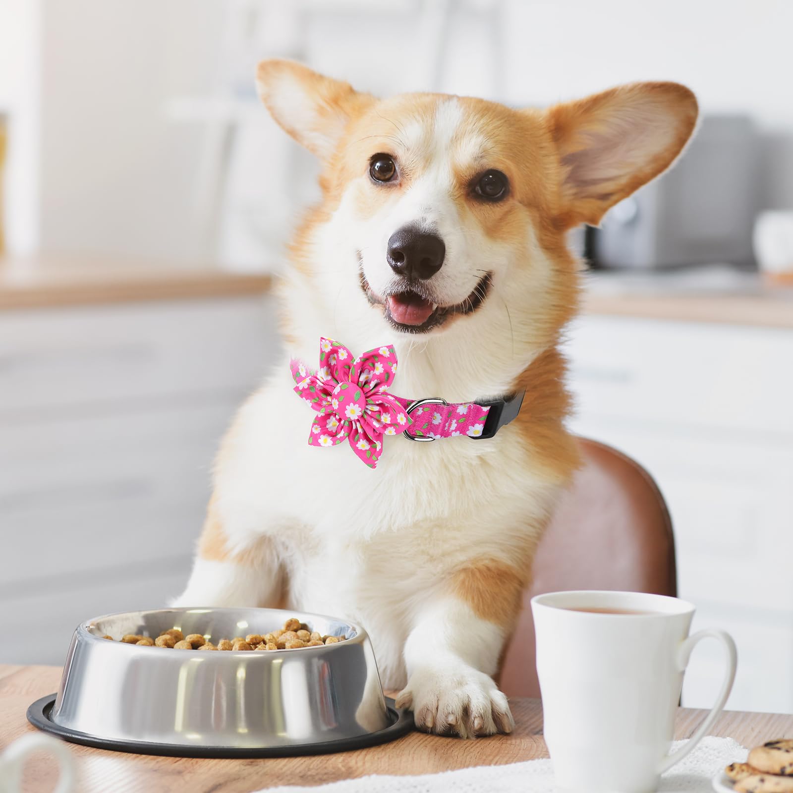 BiPawTi Medium Dog Collar Pink Flower with Bloom Decoration, Soft Floral Girly Dog Collars - Image 2
