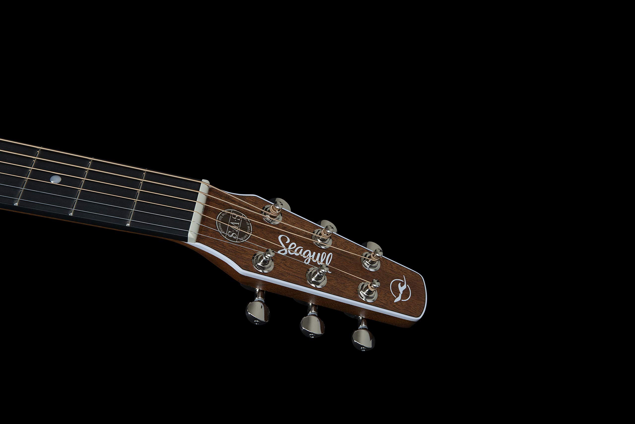 Amazon.com: Seagull Maritime SWS Natural w/Q1T Pickup : Musical