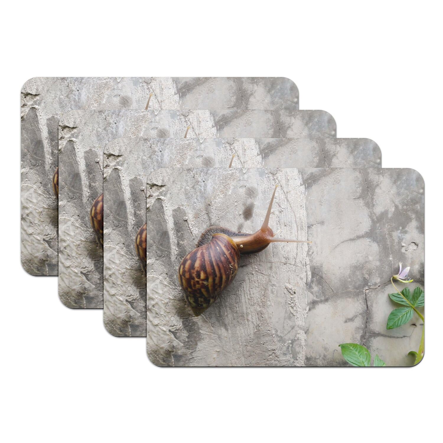 Set de table escargot grand format 39,5x28,5 cm avec impression haute définition