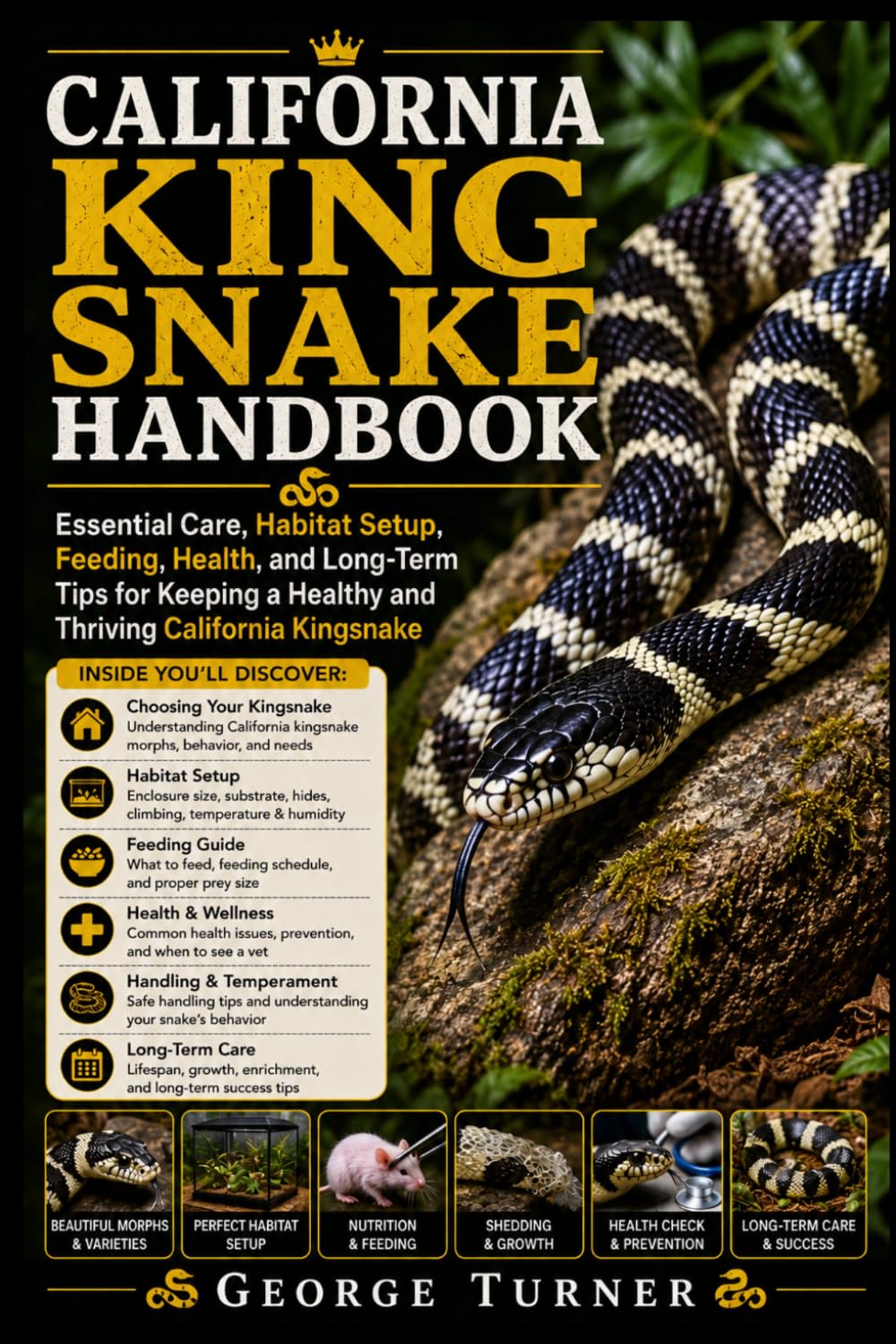 California king Snake Handbook: Essential Care, Habitat Setup, Feeding, Health, and Long-Term Tips for Keeping a Healthy and Thriving California Kingsnake