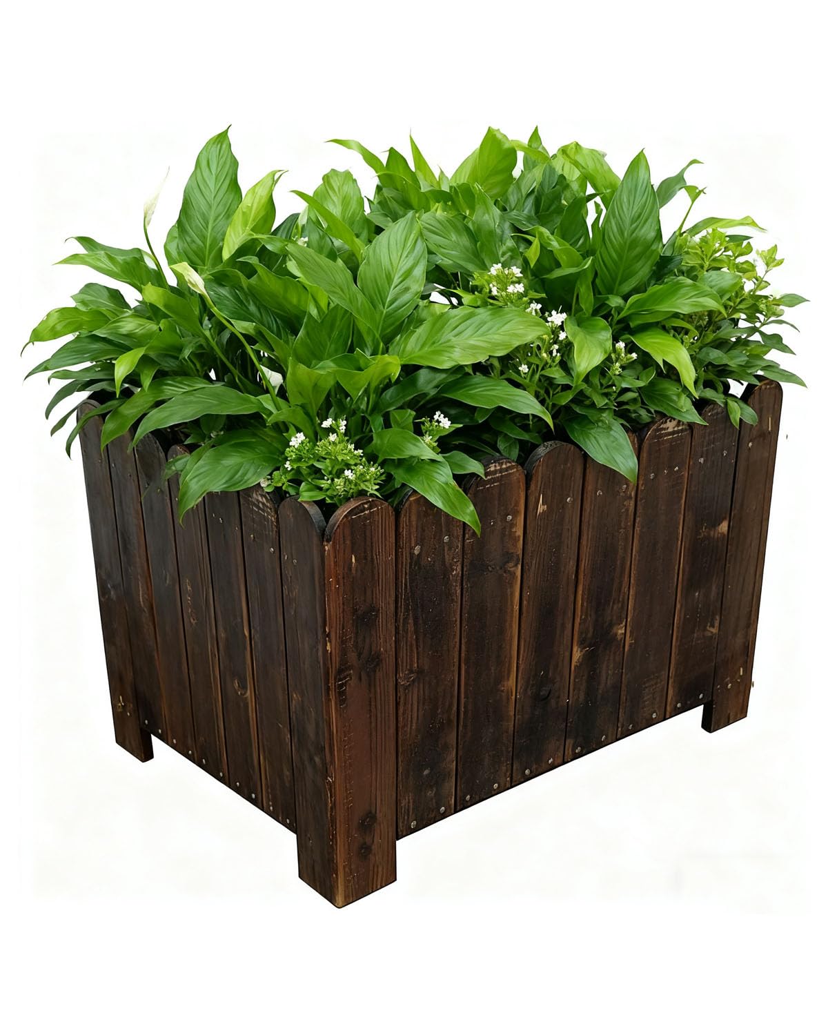 Jardinière en bois massif 60cm brun carbonisé pour extérieur