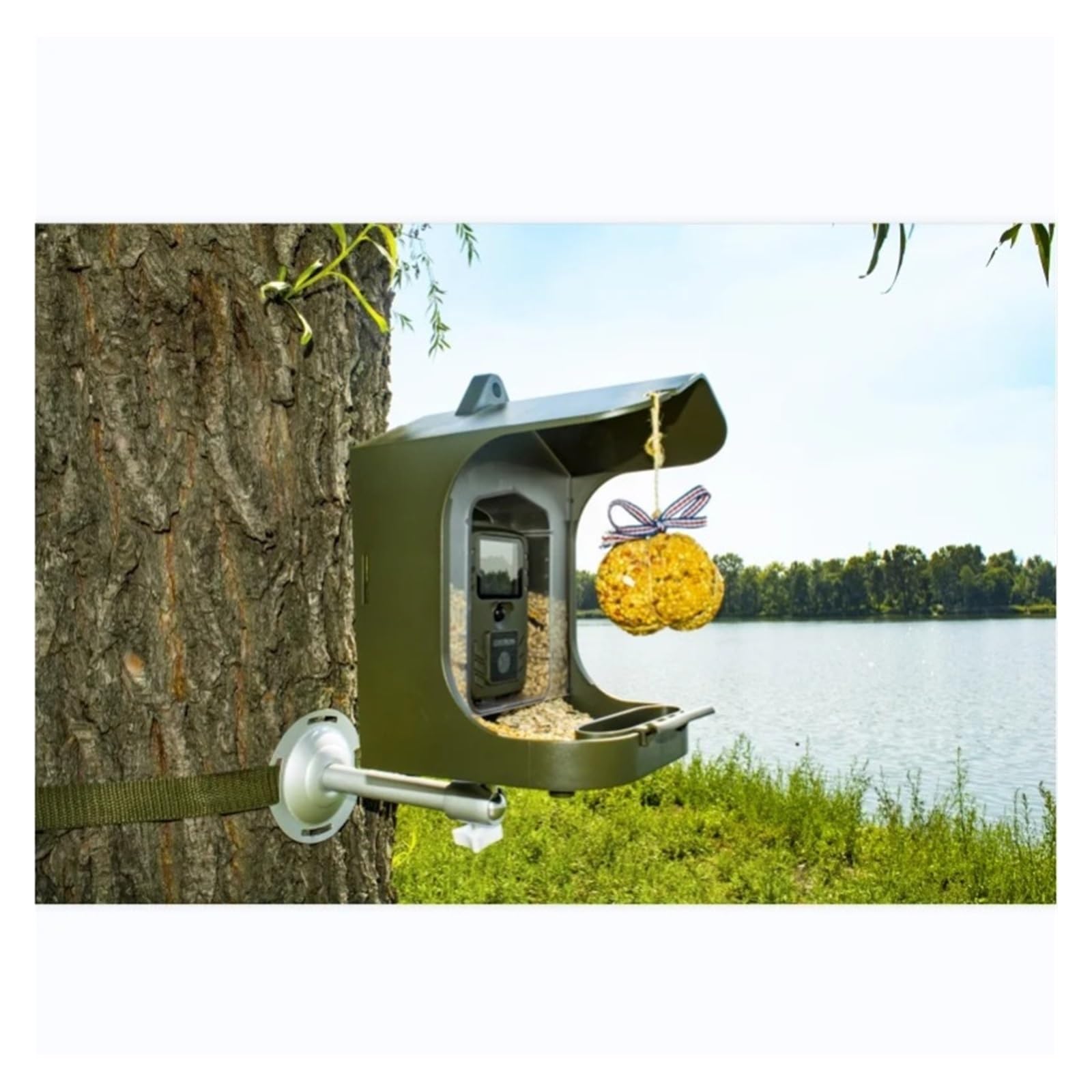 Visione Notturna A Infrarossi Telecamera For Osservazione Di Piccoli Animali For Uccelli Fotocamera For Sentieri BC-303 Che Alimentano 24MP 1080P 30 Registrazione Video Nitida