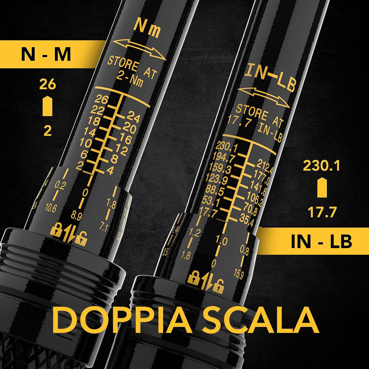 LEXIVON Chiave Dinamometrica Bici/Moto 1/4'' | 2~26 Nm, Set da 15 Pezzi di Punte Esagonali e Torx, Kit Chiavi Dinamometriche Professionali Portatile per Bicicletta, Mountain Bike Tools (LX-191)