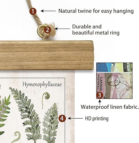 Miniatura 240 de XIAOAIKA Póster de botánica vintage con marco de madera, tabla de plantas venenosas antiguas, arte educativo botánico con especies peligrosas, 1