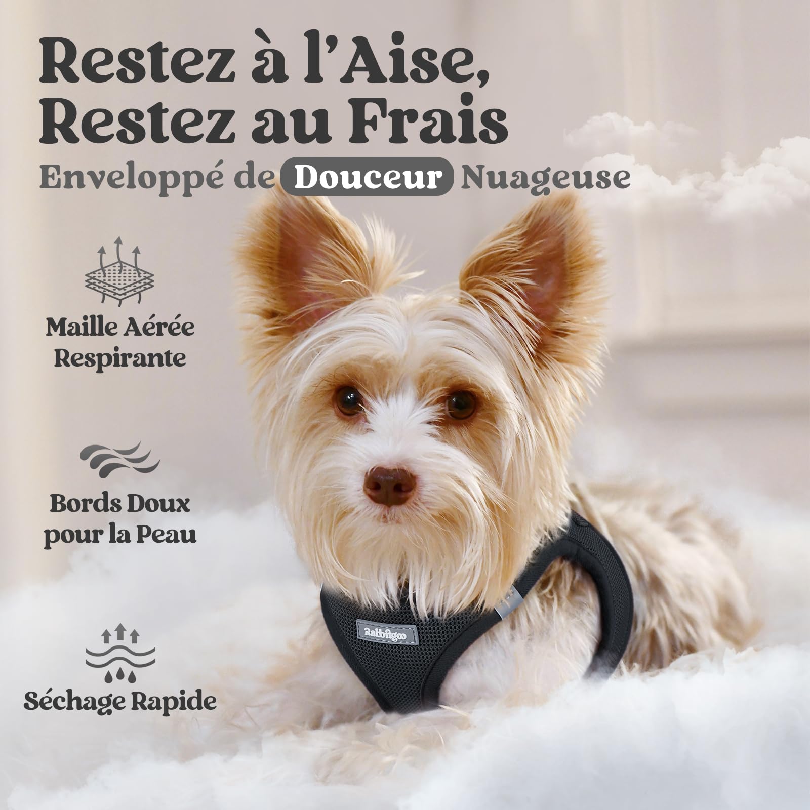 rabbitgoo Harnais Chien Petite Taille Noir S, Harnais Chiot Respirante en Maille Souple, Arnet pour Chien Réfléchissant Facile à Mettre, Gilet Réglable pour Petits et Moyens Chiens pour Marche Course