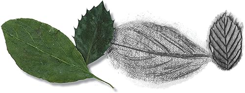 Miniatura 4 de Faber-Castell - Kit de arte de dibujo y dibujo artístico - Manualidades prémium para niños