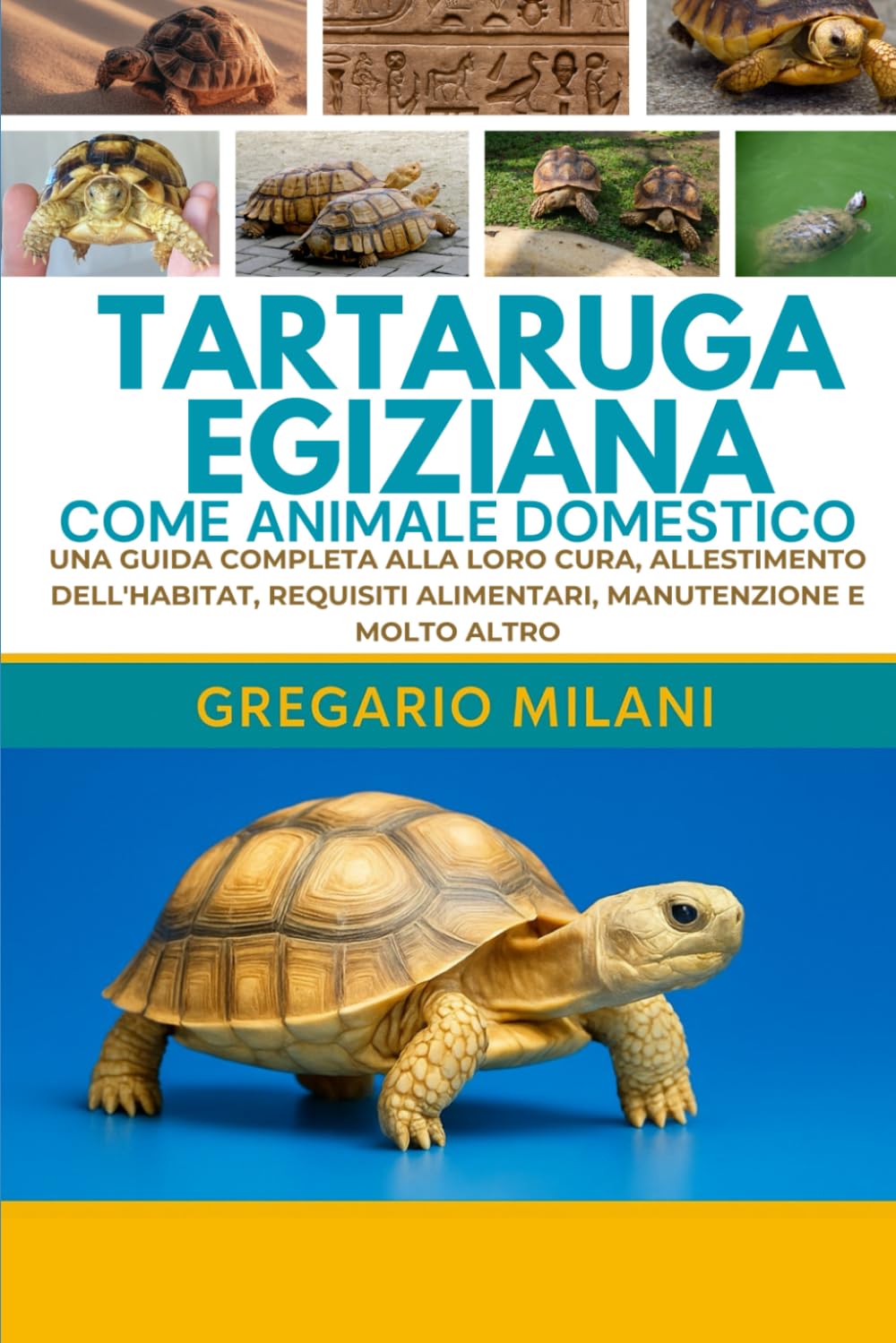TARTARUGA EGIZIANA COME ANIMALE DOMESTICO: UNA GUIDA COMPLETA ALLA LORO CURA, ALLESTIMENTO DELL'HABITAT, REQUISITI ALIMENTARI, MANUTENZIONE E MOLTO ALTRO