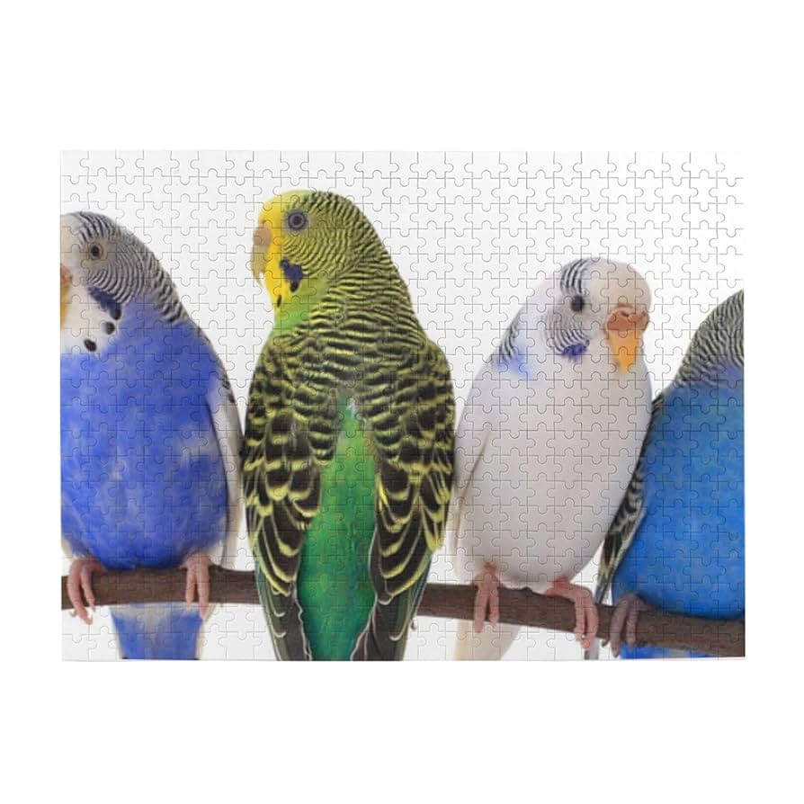 Natural～身も心も～ ジグソーパズル 500ピース　新品未開封　カード付属 Natural～身も心も～ ジグソーパズル 500ピース 新品未開封