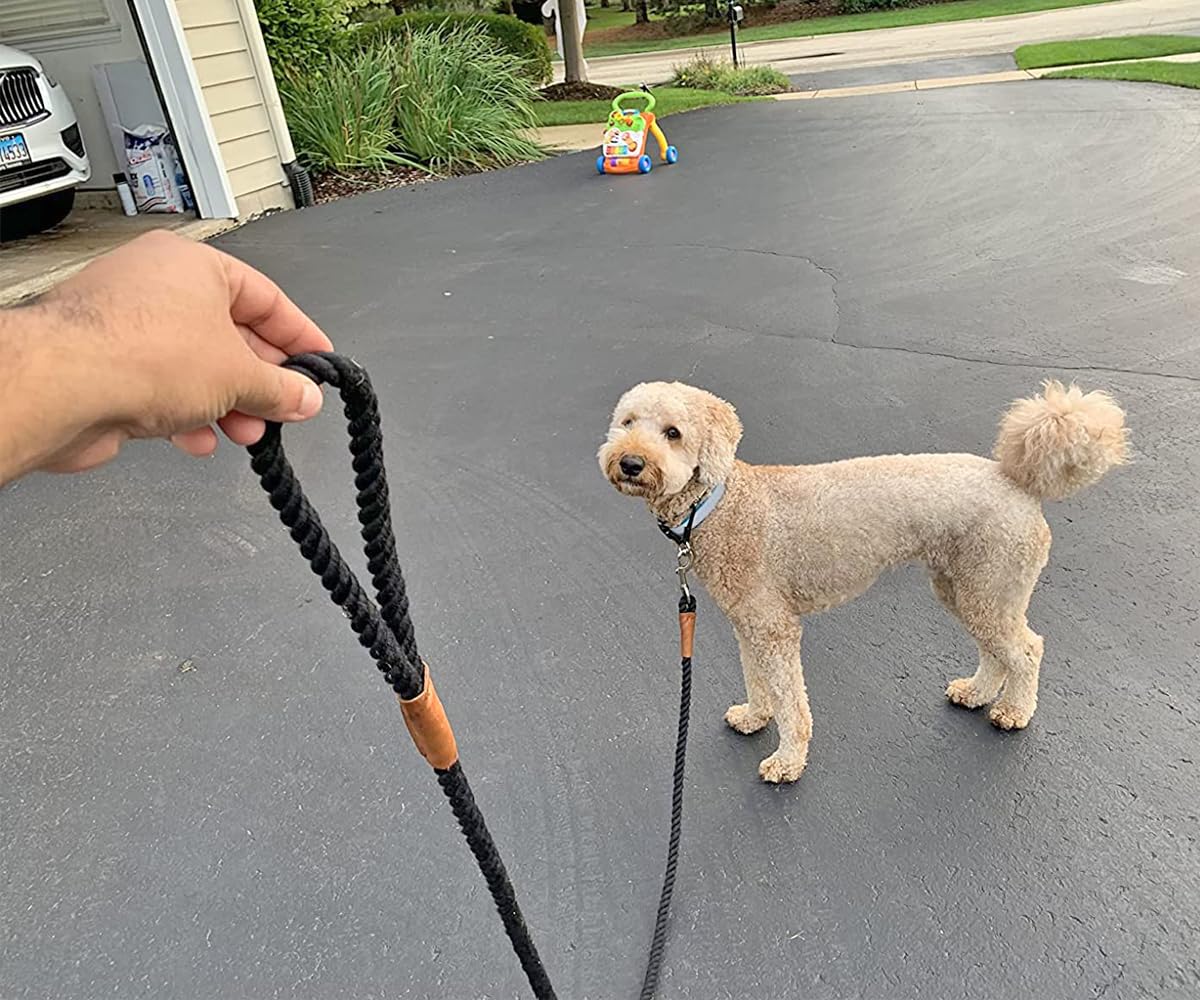 Correa de algodón para perro, correa de perro negra de 6 pies, cuerda suave trenzada con conexión de cuero a medida, correa ligera para mascotas para perros pequeños, medianos y grandes (1,27