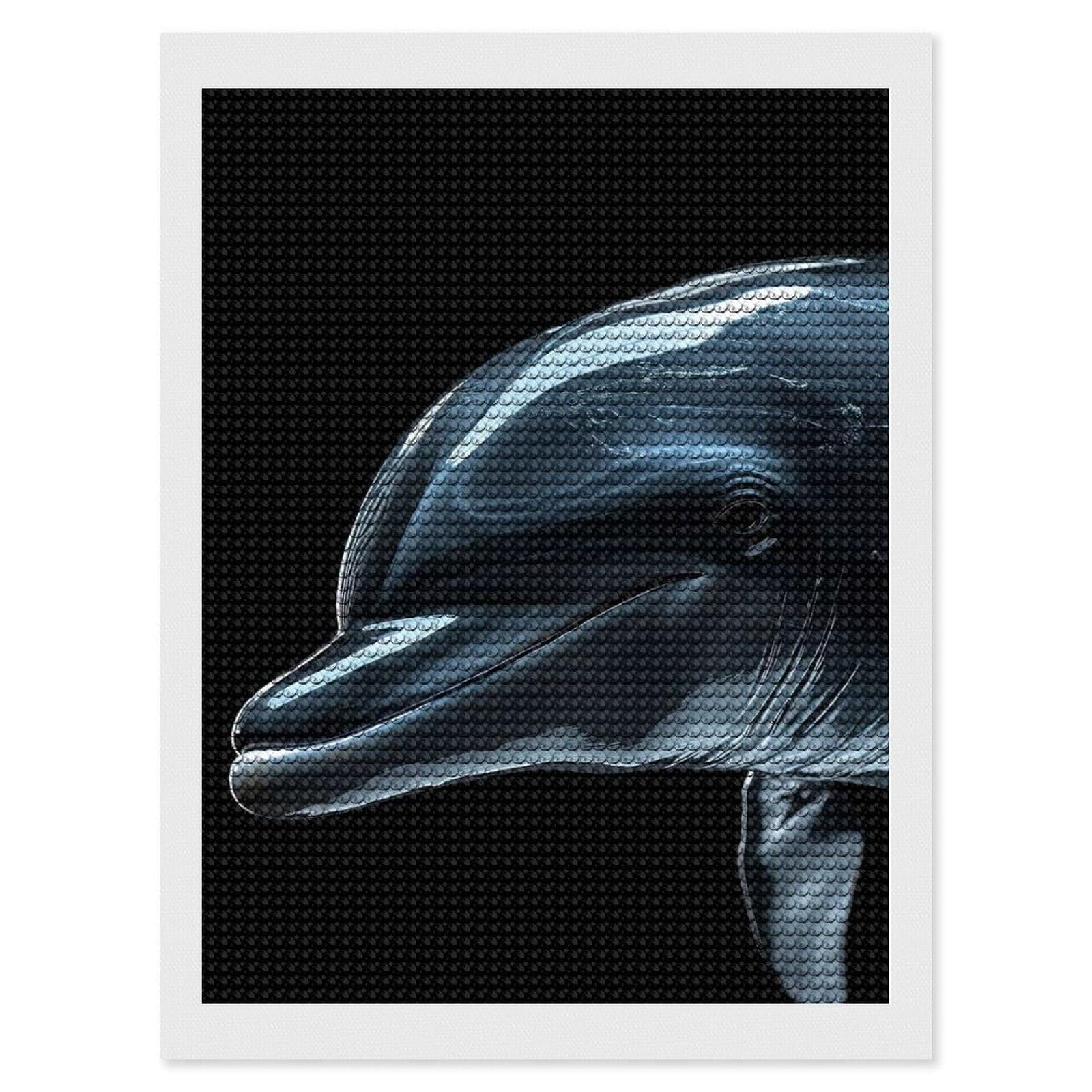 Junmoney Dolphin Diamond Art Canvas 12"x16", for Adults, Pleasing Wall Art Project, Modern Decor, Gift Idea, Nice Detail and Sparkle