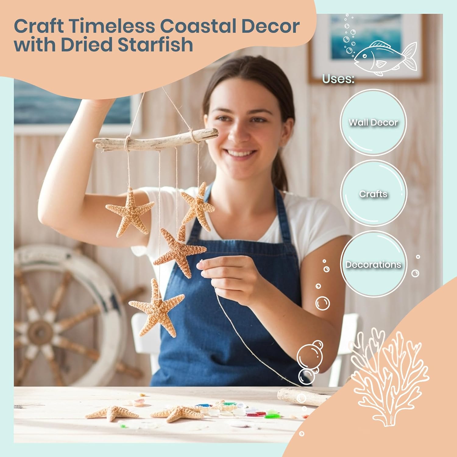 Real Starfish - 12 Brown Sugar Starfish (2-3in) - Starfish for Crafts - Star Fish Shells Decorations - Starfish Decor - Sea Star - Starfish Decorations - Starfish Shells