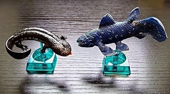 ☆不倶戴天☆スカジャン☆ウサギ☆クジラ☆カエル☆XL☆ブラック ロックフィールド スカジャン | 横浜 | ジーンズハウス いわ乃