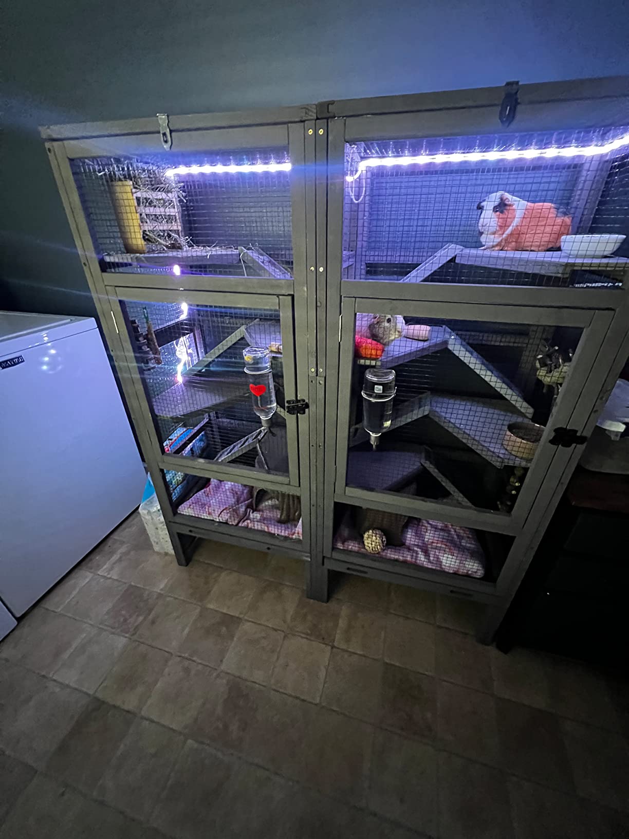 40/mo Finance Deluxe Chinchilla Cage Critter Nation, Homes for Pets