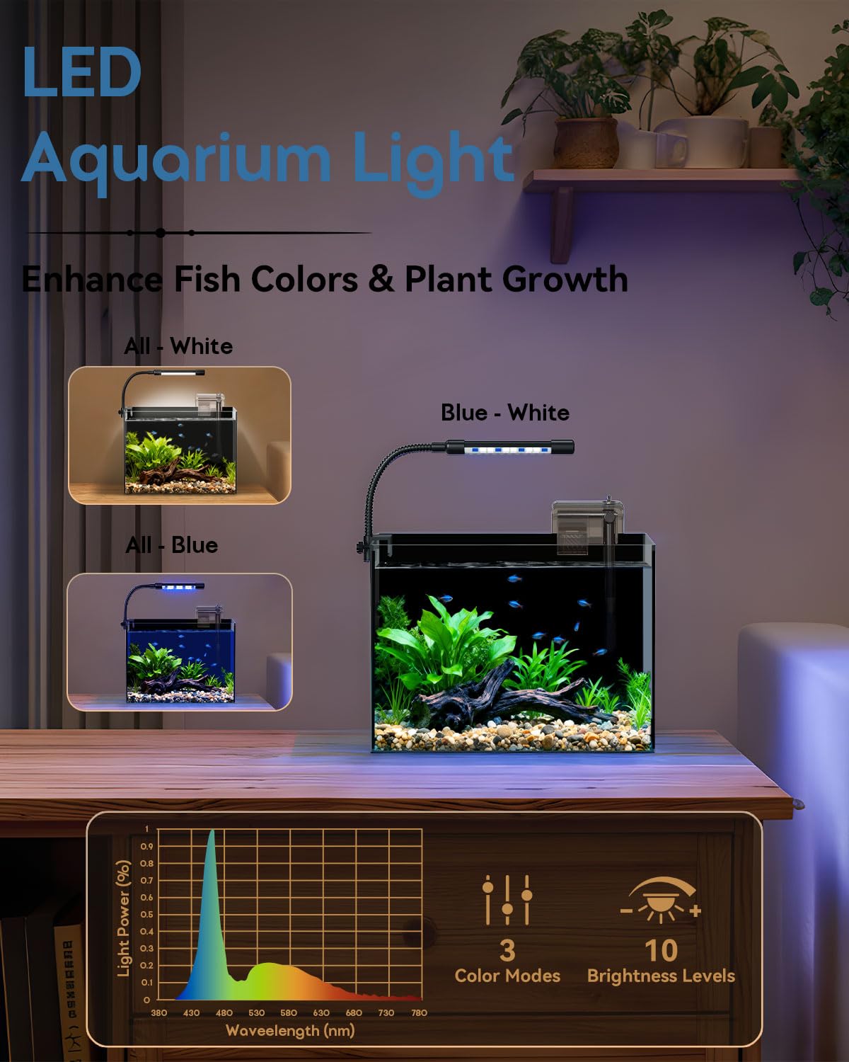 Betta Fish Tank in vetro da 3 galloni, starter kit con filtro, luci, coperchio