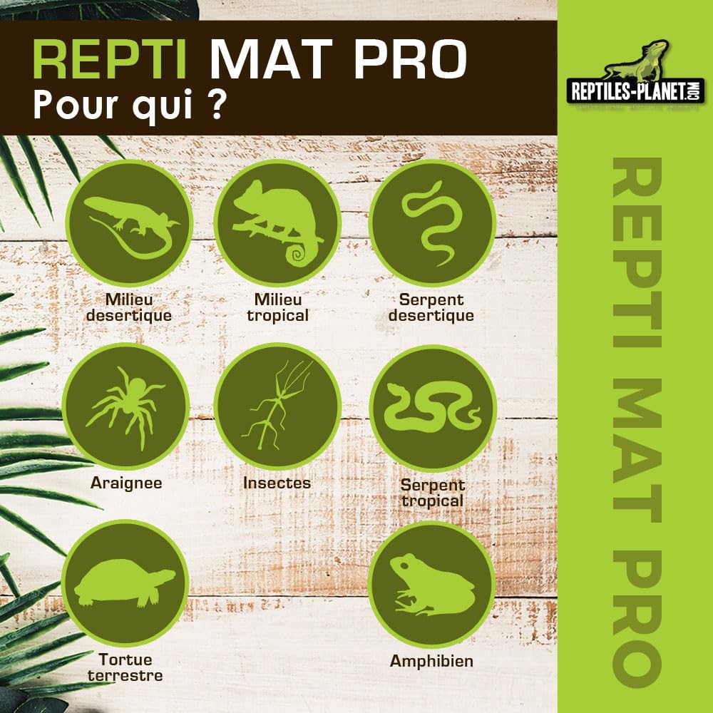 Reptiles Planet Repti PRO - Tappeto riscaldante per Rettili, 10 x 18 cm, 4 W