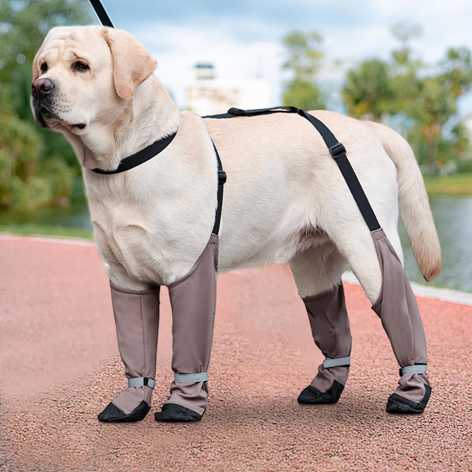 Bottes pour Chien Protège-Pattes Dechien Chaussures Antidérapantes Imperméables Réglables en Polyester Légères Confortables Fonction Anti-salissure AP, L