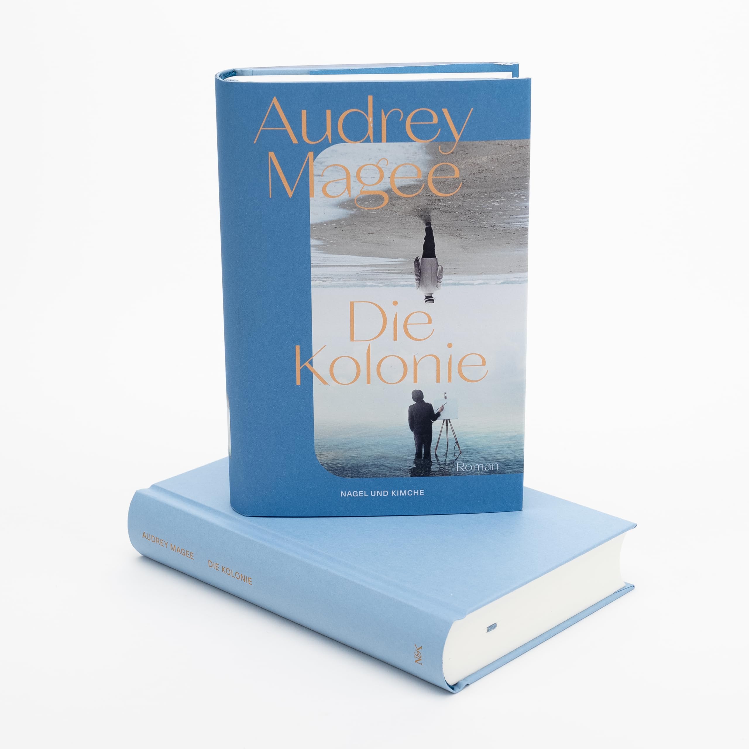 Die Kolonie: Roman | Longlist des Booker Prize 2022 | Nordirlandkonflikt | IRA | Familie | Kolonialismus