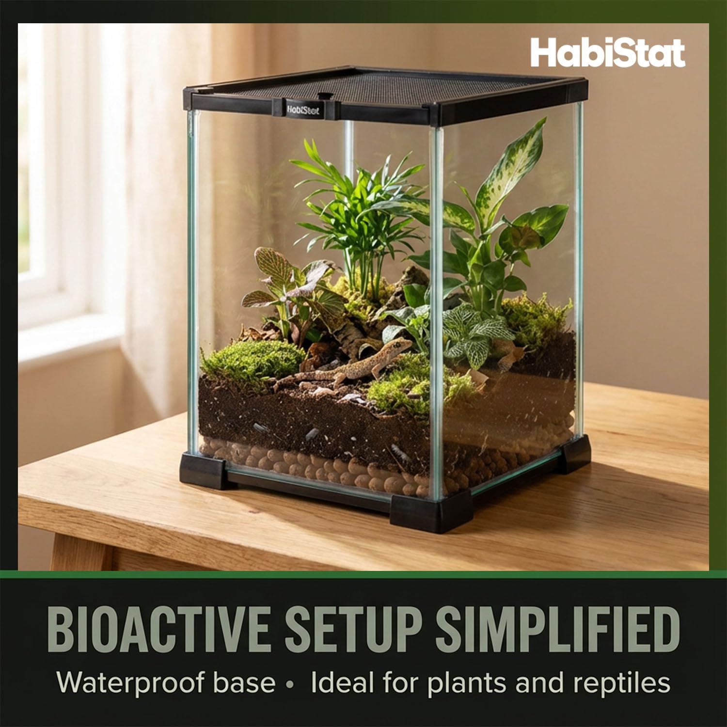Amazon.com : Habistat Mini Glass Terrarium for Reptiles 8