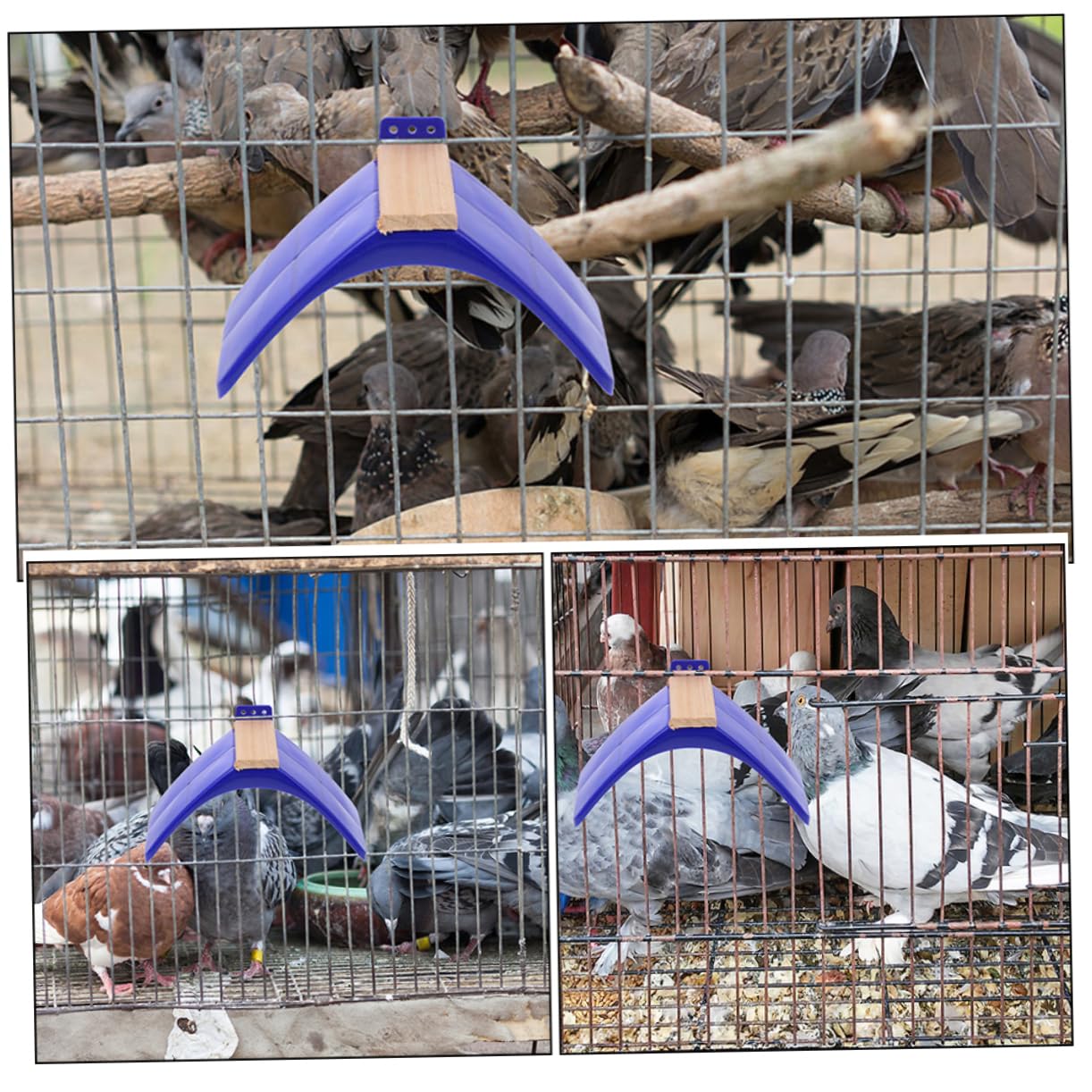 Support pour Oiseaux Perchoir Bleu Lot de 10 en Bois et PP